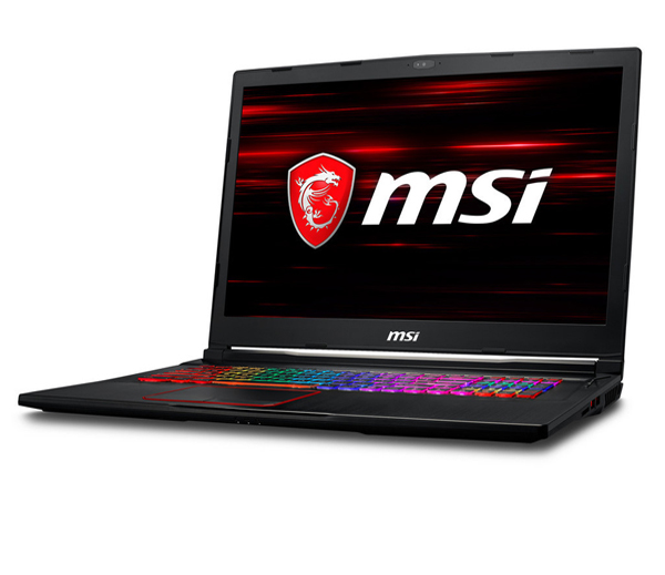 MSI - NOTEBOOK GE73 RAIDER I7-8750H 128GB SSD + 1TB SATA 16GB 17.3 W10 HOME (GE73 RAIDER 8RF RGB)